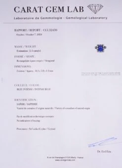 Bague Entourage En Or Blanc, Platine, Saphir Naturel De Ceylan Et Diamants 7 Bague Entourage En Or Blanc, Platine, Saphir Naturel De Ceylan Et Diamants -Castafiore Boutique bague entourage en or blanc platine saphir naturel de ceylan et diamants 9115363