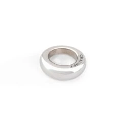 Bague Joncde La Maison Chaumet En Or Gris Modèle Anneau -Castafiore Boutique bague jonc de la maison chaumet en or gris modele anneau 672998