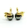 Boucles D'oreilles Dormeuses En Or Et Perles Noires