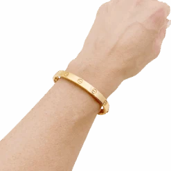 Miller Bracelet Jonc CARTIER "Love" En Or Rose 5 Miller Bracelet Jonc CARTIER "Love" En Or Rose -Castafiore Boutique bracelet cartier love en or rose 640141