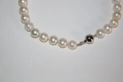 Collier De Grosses Perles De Culture Crème -Castafiore Boutique collier de grosses perles de culture creme 373861