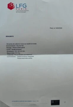 Collier Sautoir En Perles De Culture -Castafiore Boutique collier sautoir en perles de culture 763235